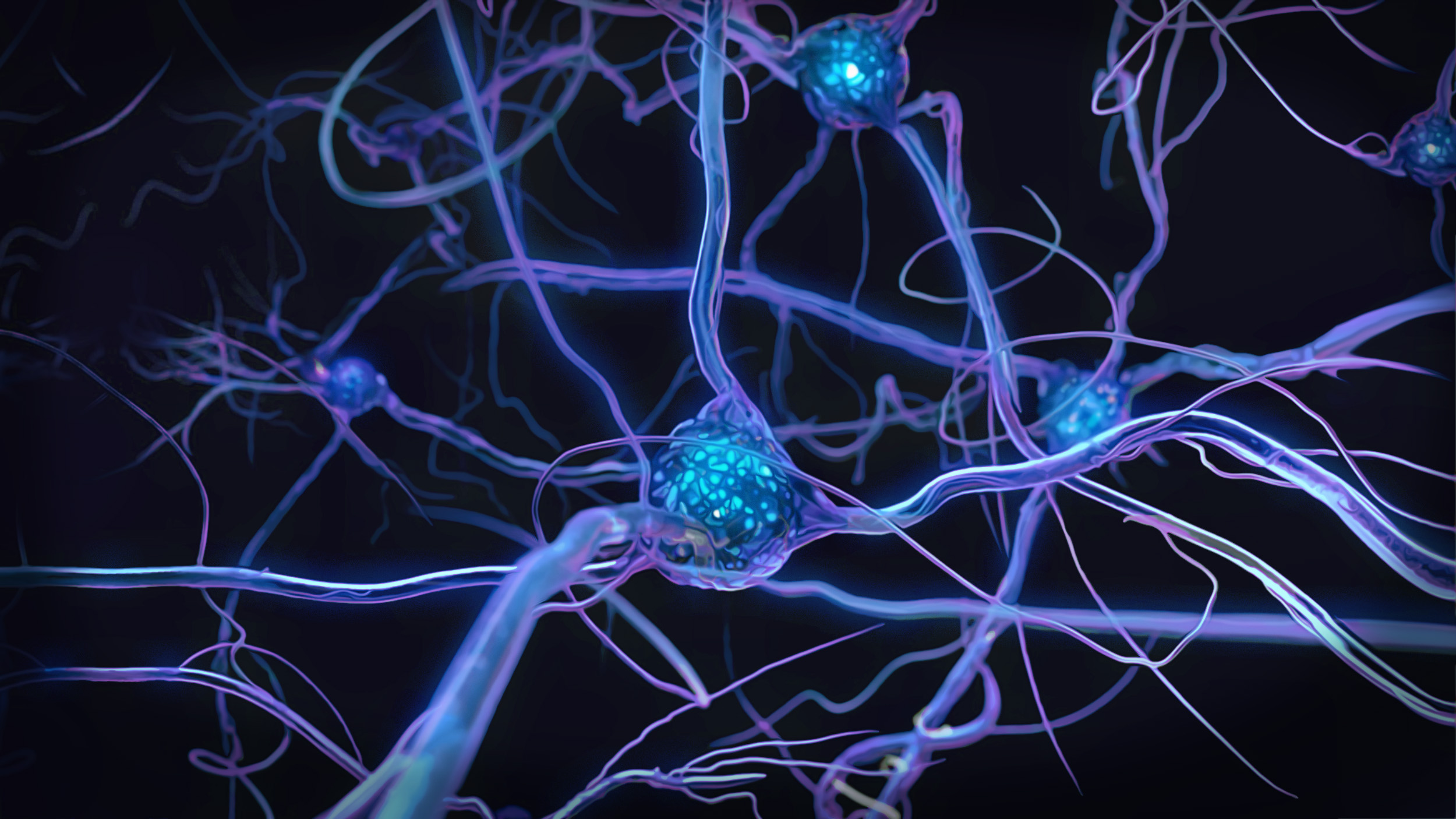 Netzwerk von Zellen, Nerven und Zellgewebe
